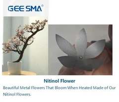 Nitinol-Geräte und -Komponenten